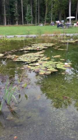 Landesgartenschau 2017